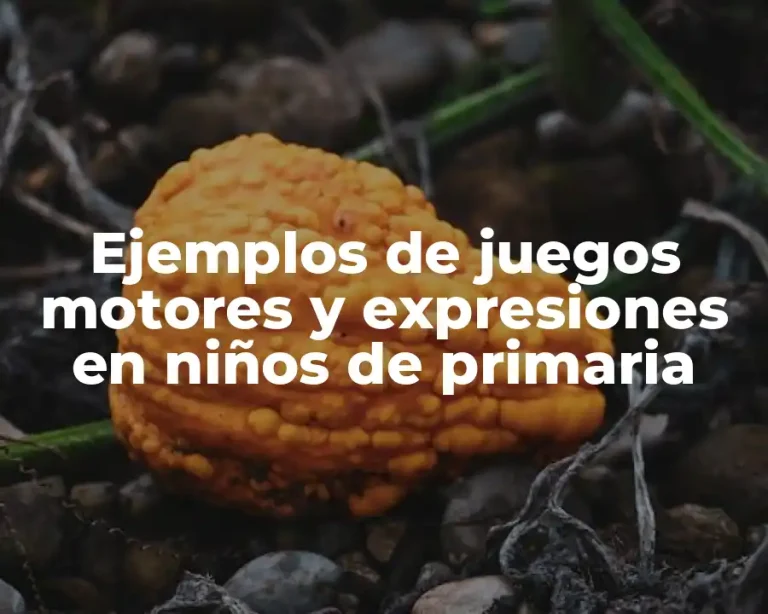 Ejemplos de juegos motores y expresiones en niños de primaria