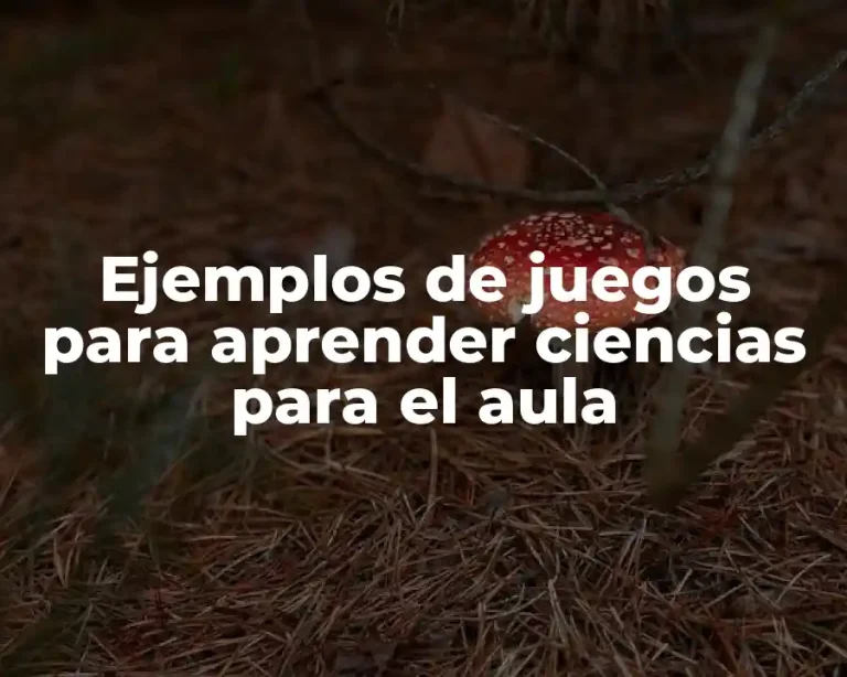 Ejemplos de juegos para aprender ciencias para el aula