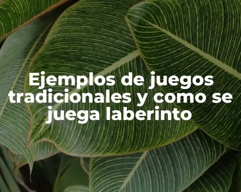 Ejemplos de juegos tradicionales y como se juega laberinto