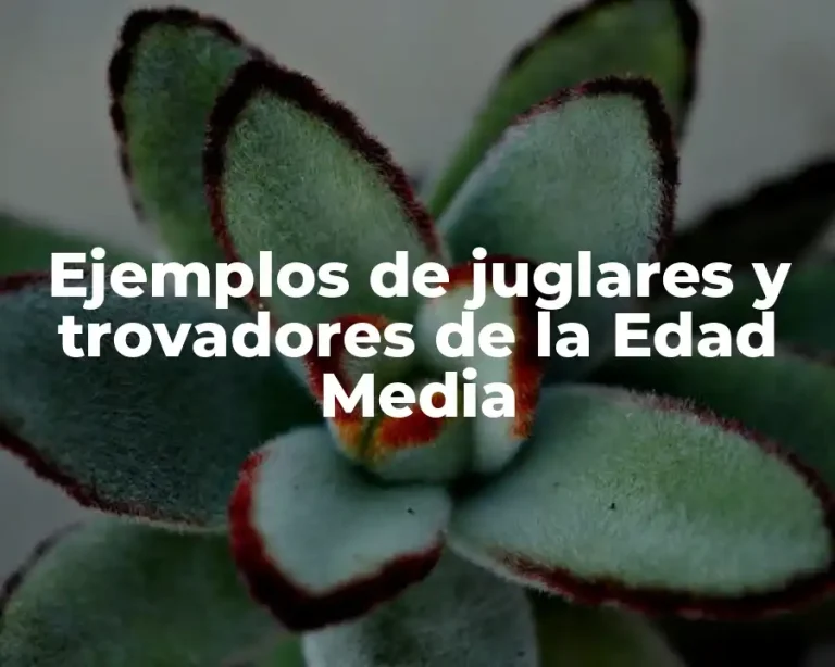 Ejemplos de juglares y trovadores de la Edad Media