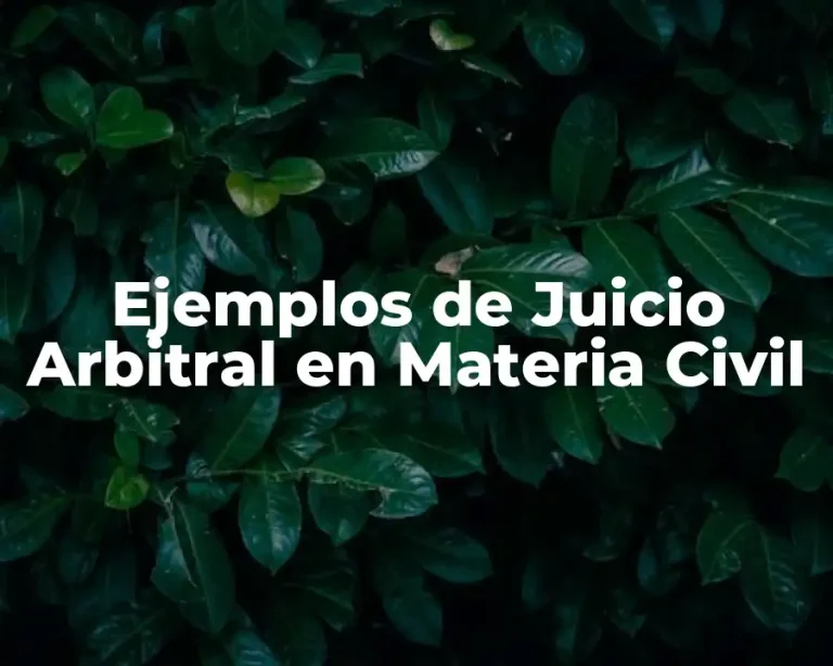 Ejemplos de Juicio Arbitral en Materia Civil