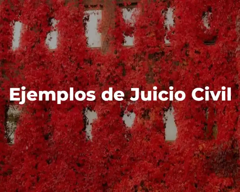 Ejemplos de Juicio Civil
