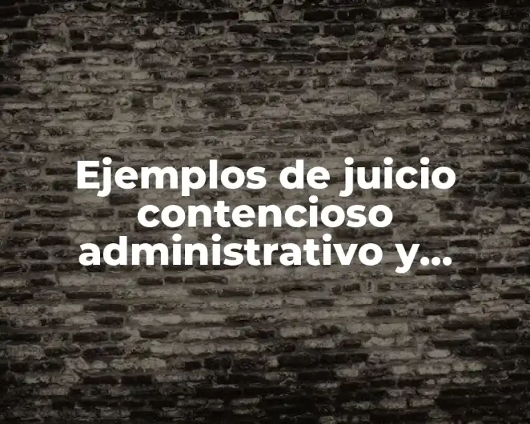 Ejemplos de juicio contencioso administrativo y Significado