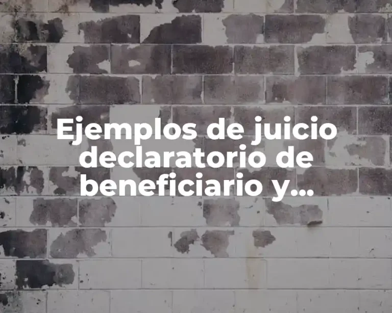 Ejemplos de juicio declaratorio de beneficiario y Significado