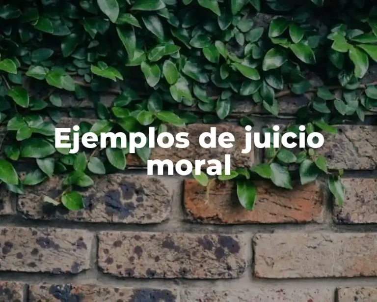 Ejemplos de juicio moral