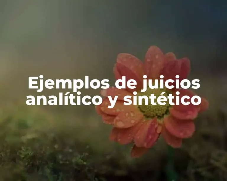 Ejemplos de juicios analítico y sintético