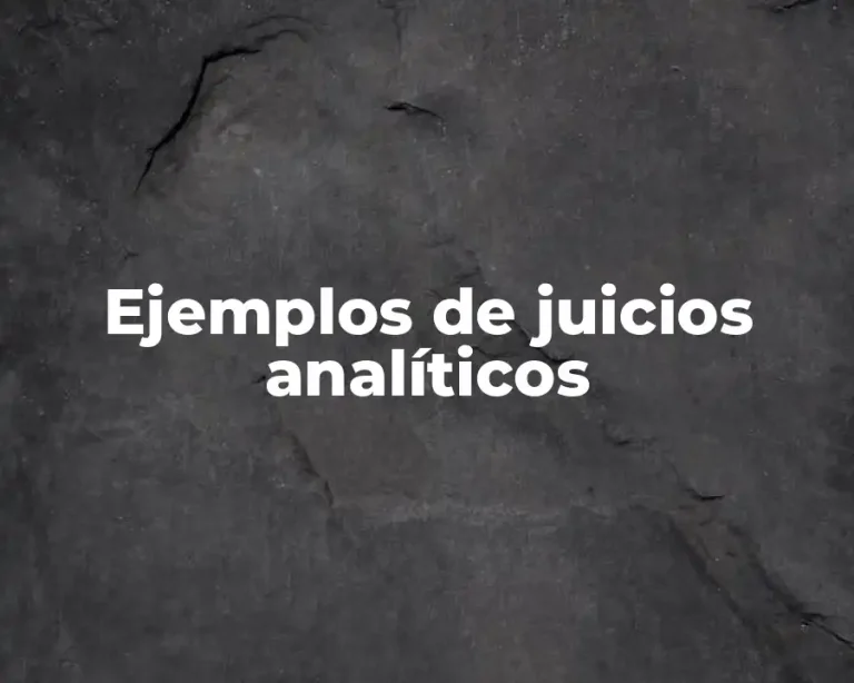 Ejemplos de juicios analíticos