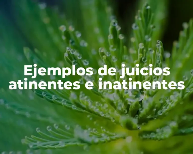 Ejemplos de juicios atinentes e inatinentes