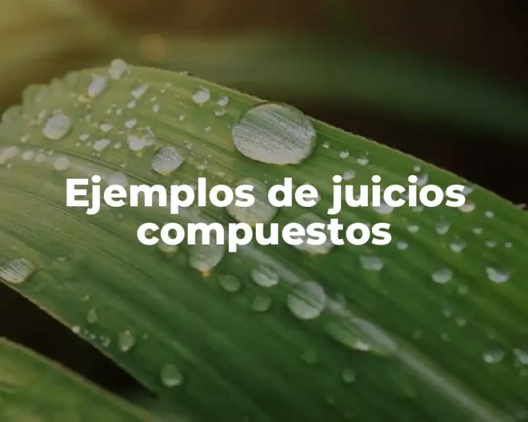 Ejemplos de juicios compuestos