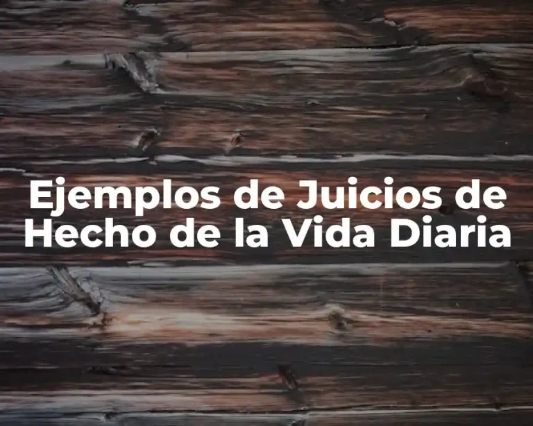 Ejemplos de Juicios de Hecho de la Vida Diaria