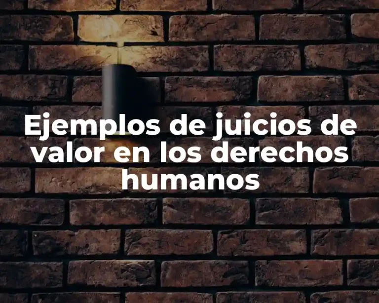 Ejemplos de juicios de valor en los derechos humanos