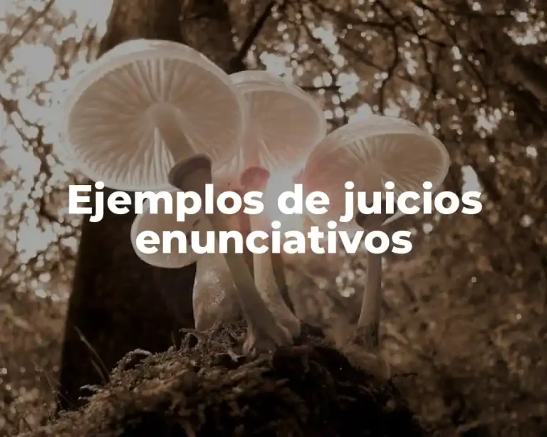 Ejemplos de juicios enunciativos