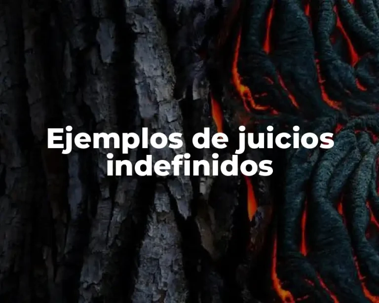 Ejemplos de juicios indefinidos