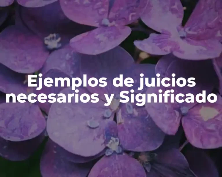 Ejemplos de juicios necesarios y Significado