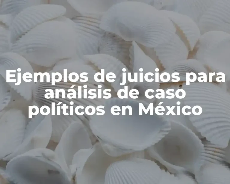 Ejemplos de juicios para análisis de caso políticos en México