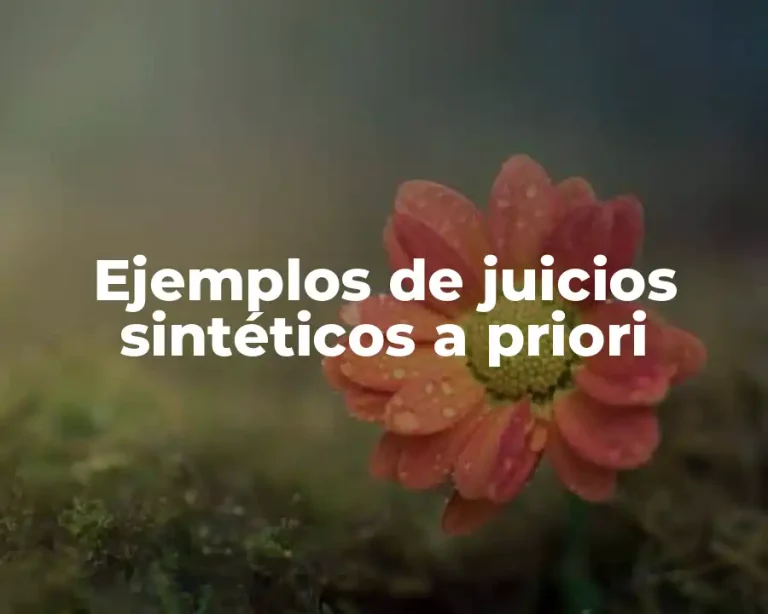 Ejemplos de juicios sintéticos a priori