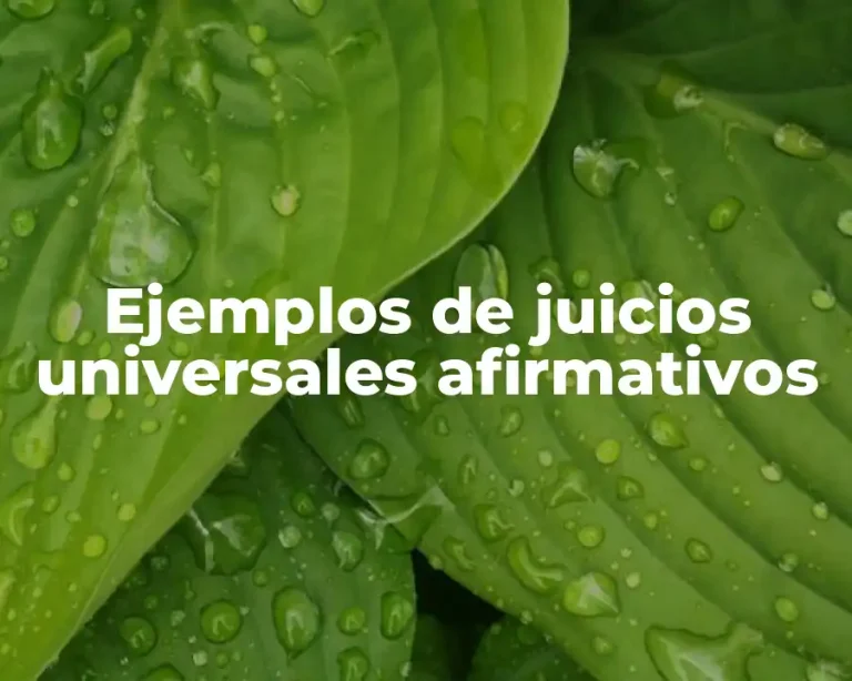 Ejemplos de juicios universales afirmativos