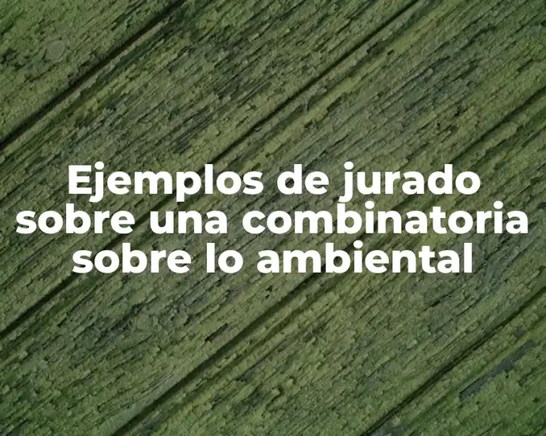 Ejemplos de jurado sobre una combinatoria sobre lo ambiental