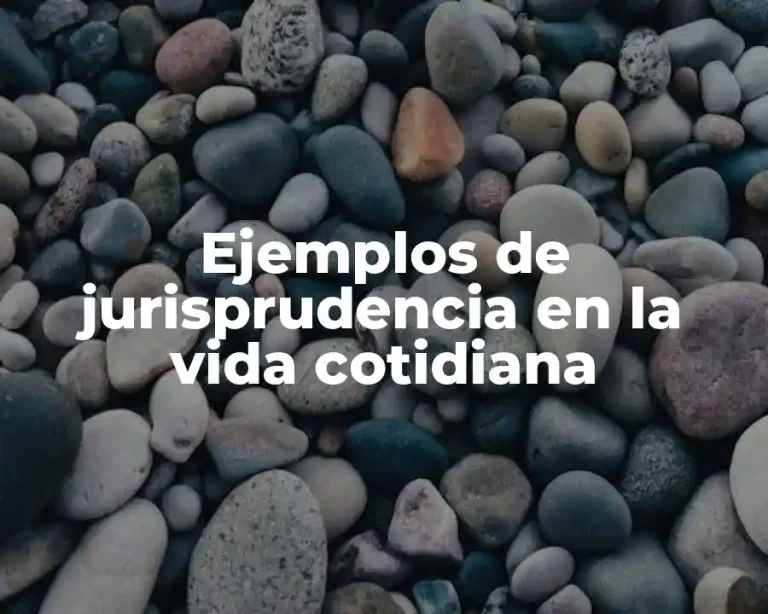 Ejemplos de jurisprudencia en la vida cotidiana