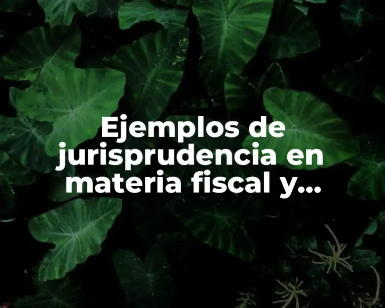 Ejemplos de jurisprudencia en materia fiscal y Significado