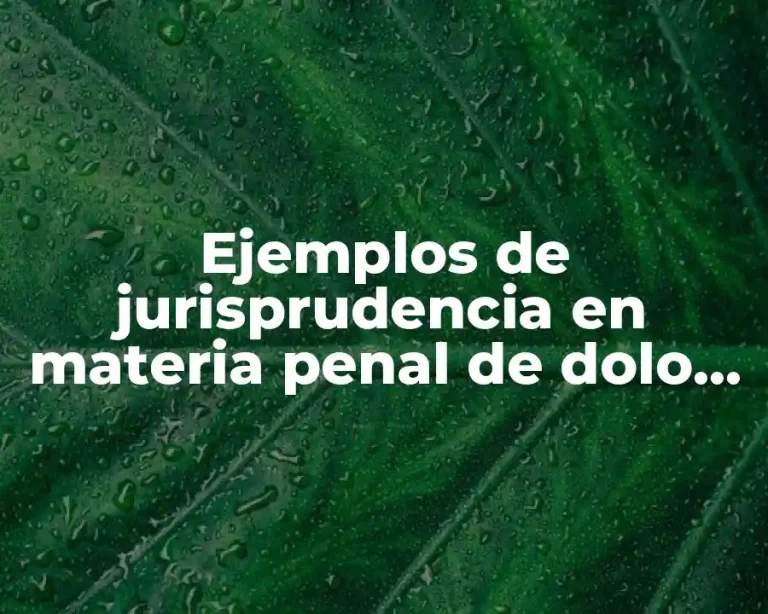 Ejemplos de jurisprudencia en materia penal de dolo directo