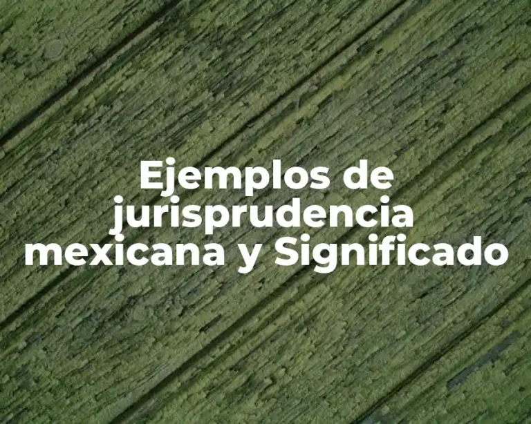 Ejemplos de jurisprudencia mexicana y Significado