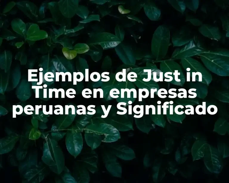 Ejemplos de Just in Time en empresas peruanas y Significado