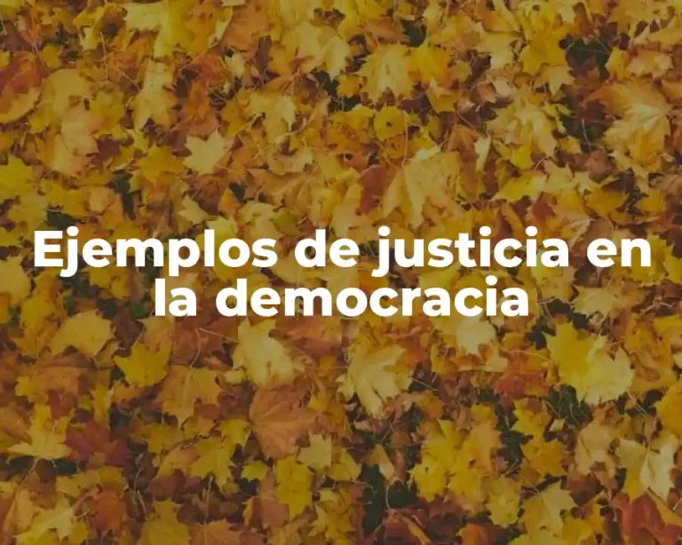 Ejemplos de justicia en la democracia