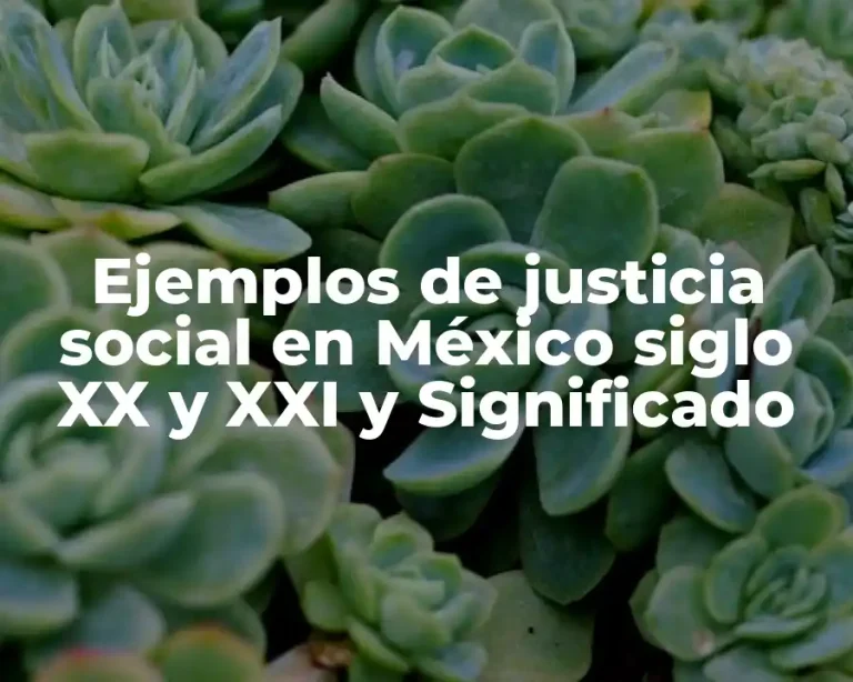 Ejemplos de justicia social en México siglo XX y XXI y Significado