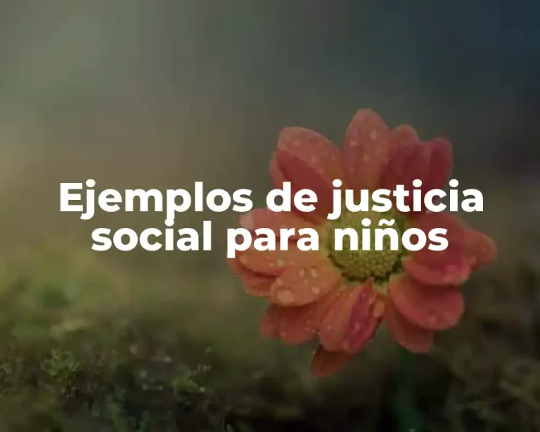 Ejemplos de justicia social para niños