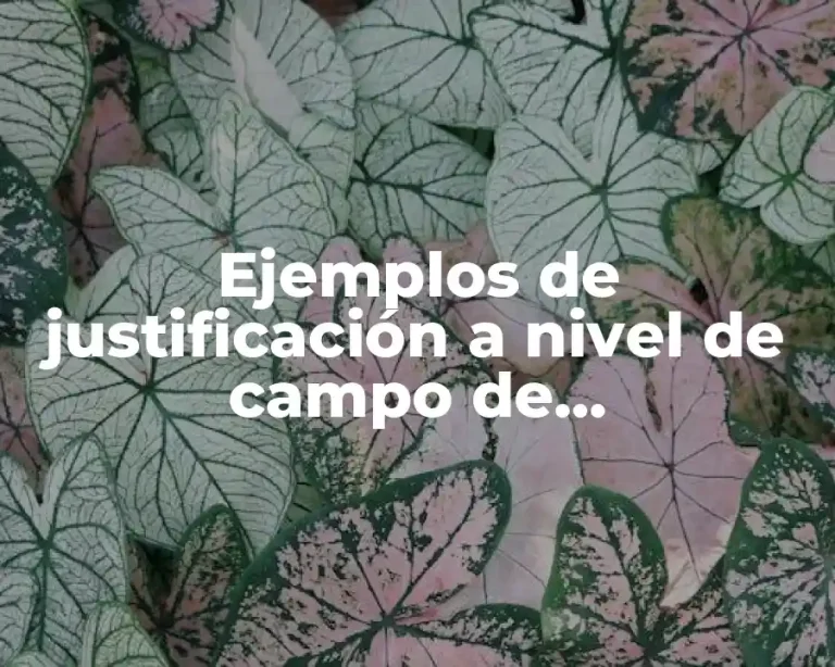 Ejemplos de justificación a nivel de campo de conocimiento