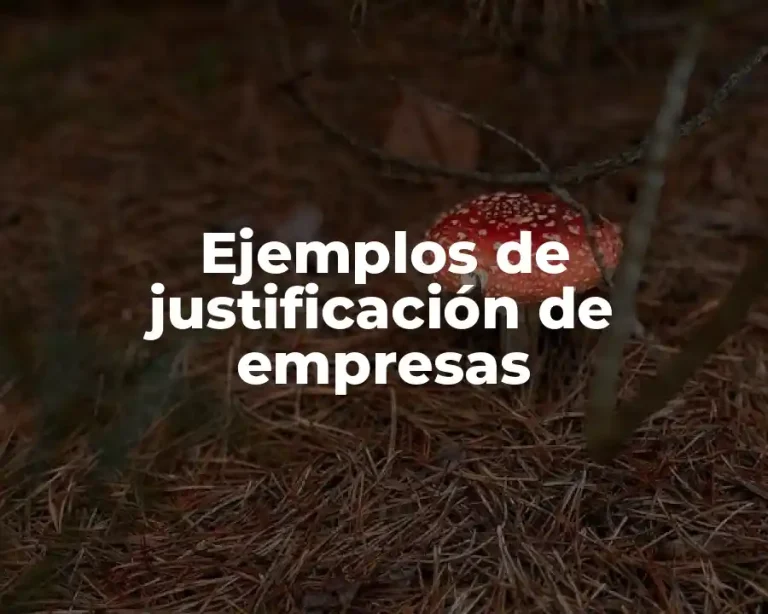 Ejemplos de justificación de empresas
