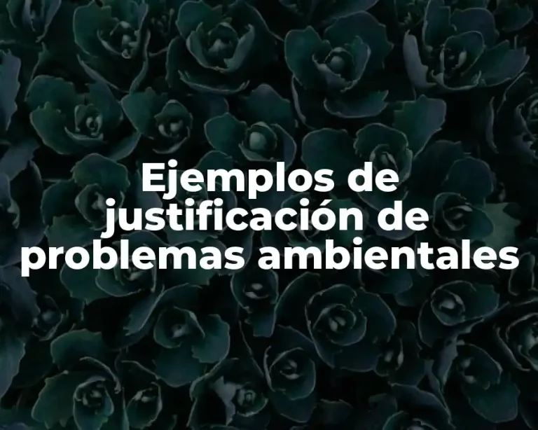 Ejemplos de justificación de problemas ambientales