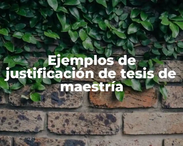 Ejemplos de justificación de tesis de maestría