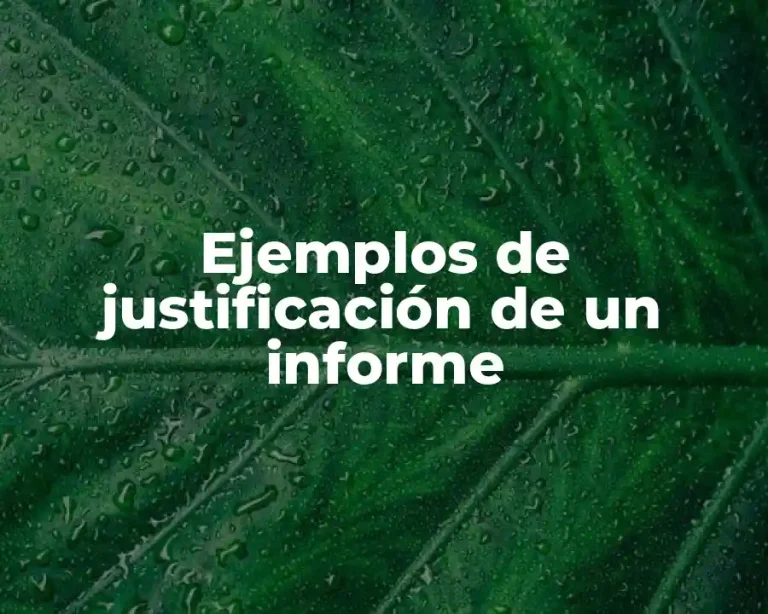 Ejemplos de justificación de un informe