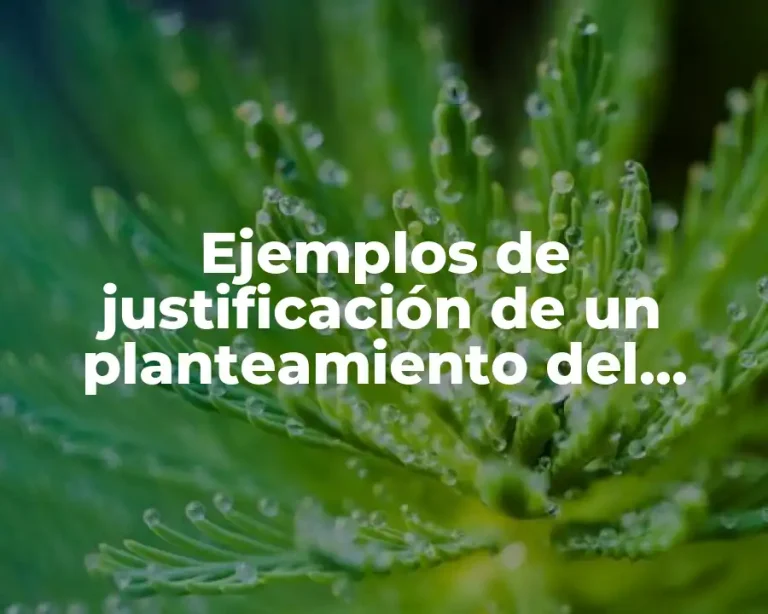 Ejemplos de justificación de un planteamiento del problema