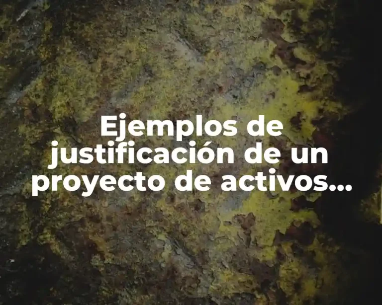 Ejemplos de justificación de un proyecto de activos fijos