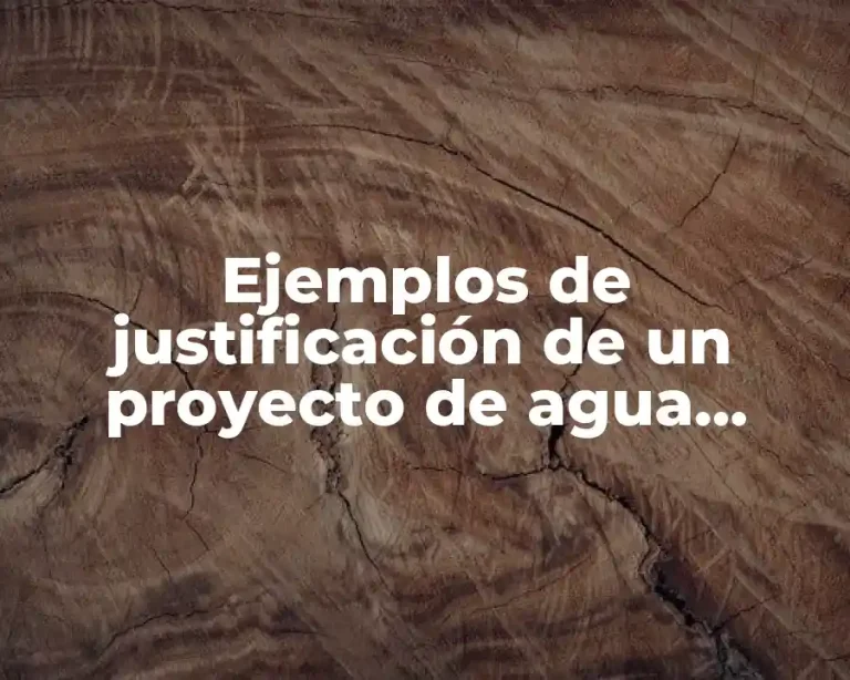 Ejemplos de justificación de un proyecto de agua potable