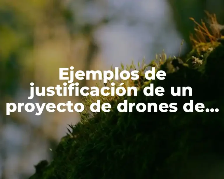 Ejemplos de justificación de un proyecto de drones de guerra
