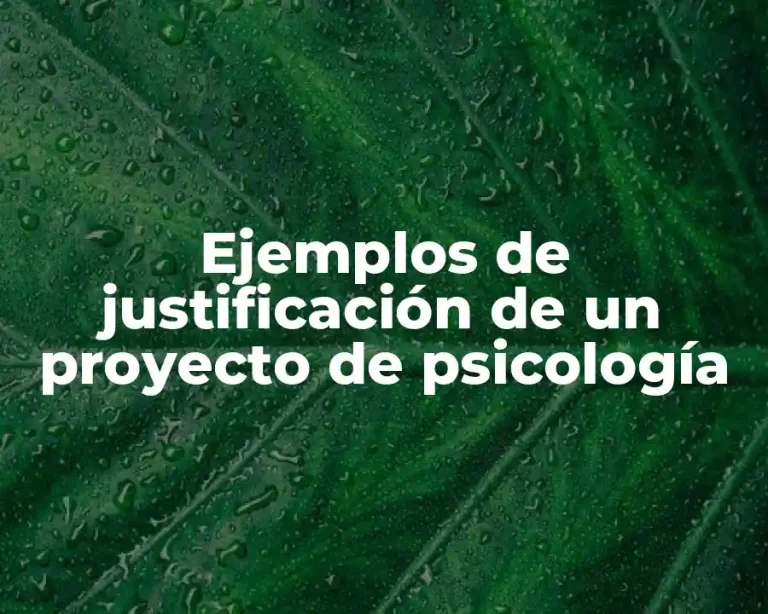 Ejemplos de justificación de un proyecto de psicología