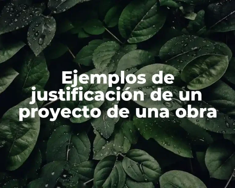 Ejemplos de justificación de un proyecto de una obra