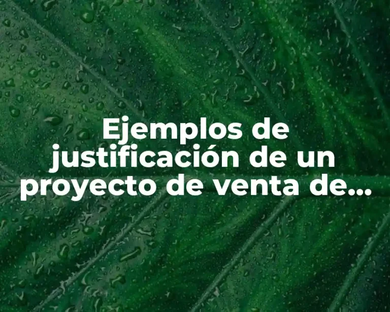 Ejemplos de justificación de un proyecto de venta de gastronomía