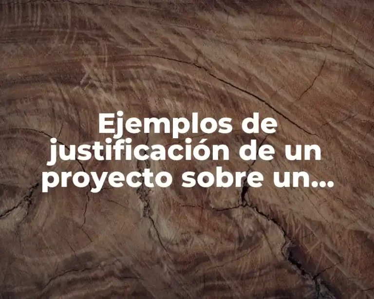 Ejemplos de justificación de un proyecto sobre un producto