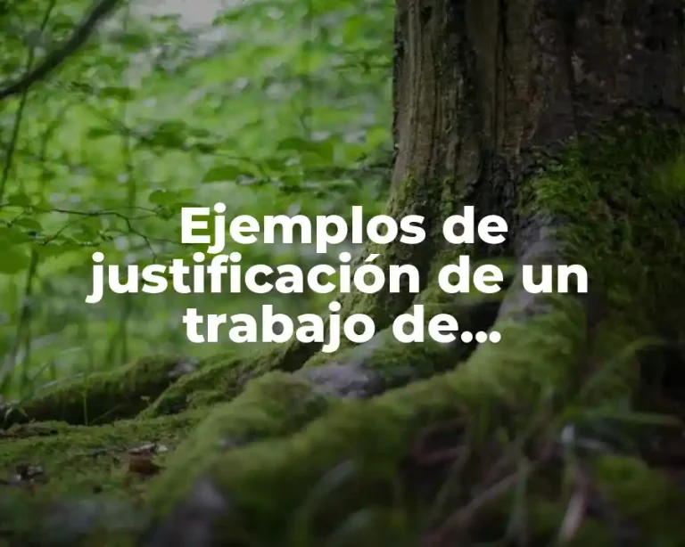 Ejemplos de justificación de un trabajo de investigación y Significado