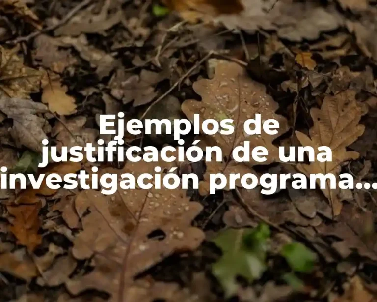 Ejemplos de justificación de una investigación programa de mantenimiento