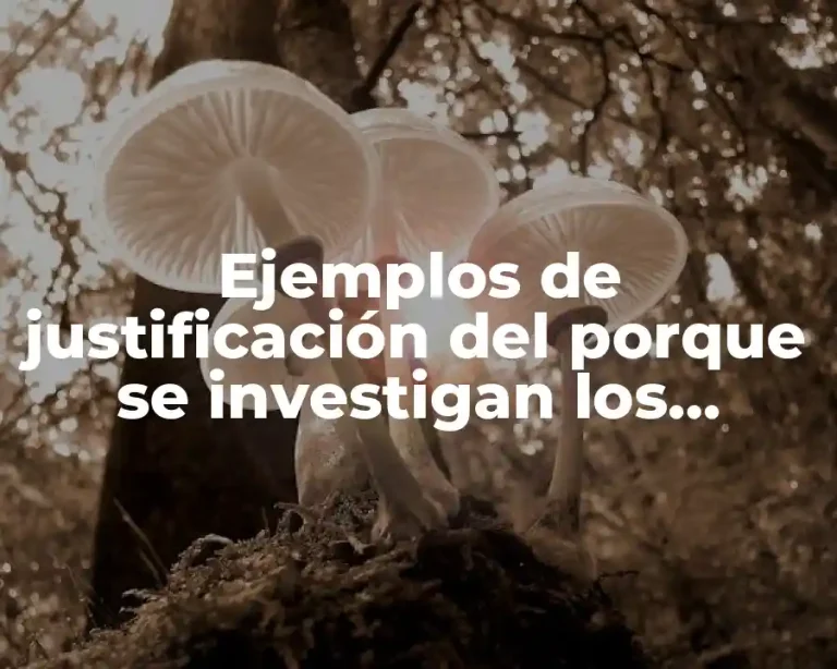 Ejemplos de justificación del porque se investigan los valores