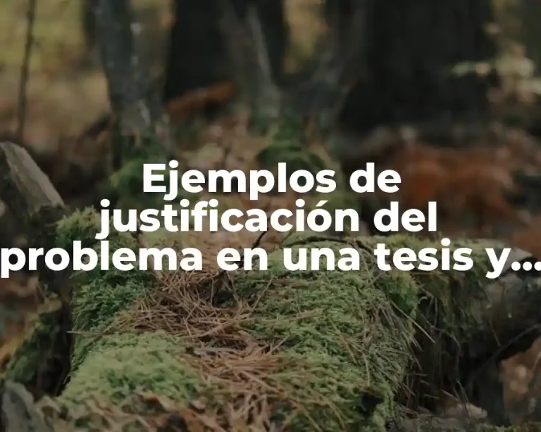 Ejemplos de justificación del problema en una tesis y Significado