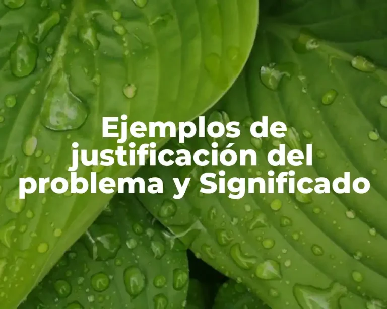 Ejemplos de justificación del problema y Significado