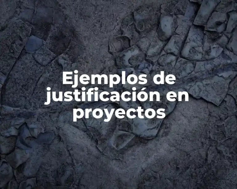 Ejemplos de justificación en proyectos