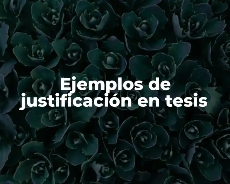 Ejemplos de justificación en tesis